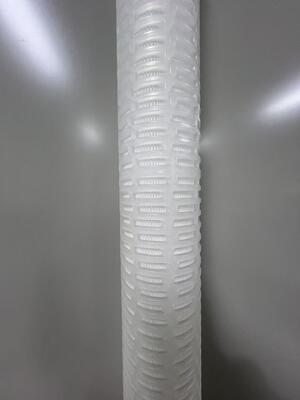 PTFE Membrane Filter Cartridge with Hydrophobic and Hydrophilic PTFE Membrane for Corrosion Resistant Filtration